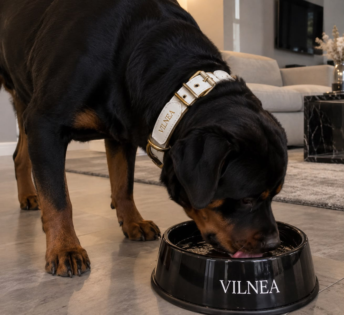 Collar Relax Premium Personalizado