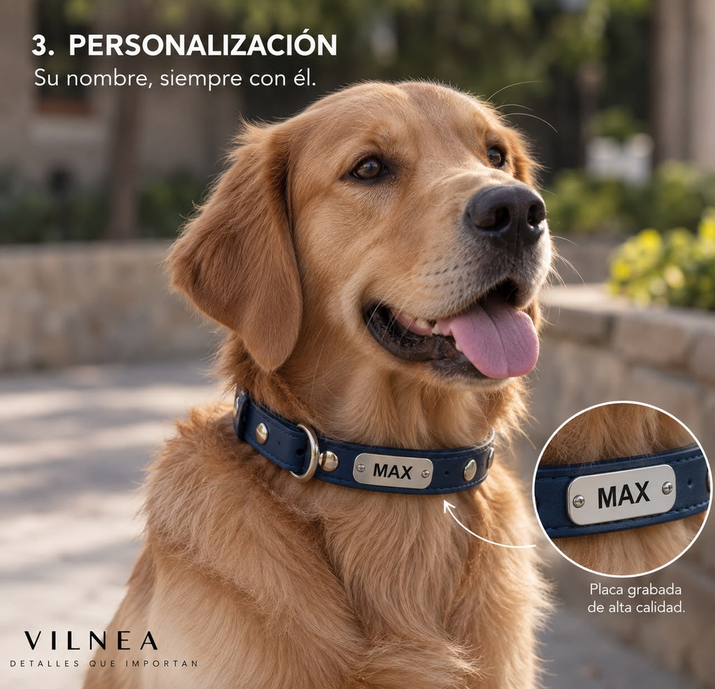 Collar Confort Personalizado