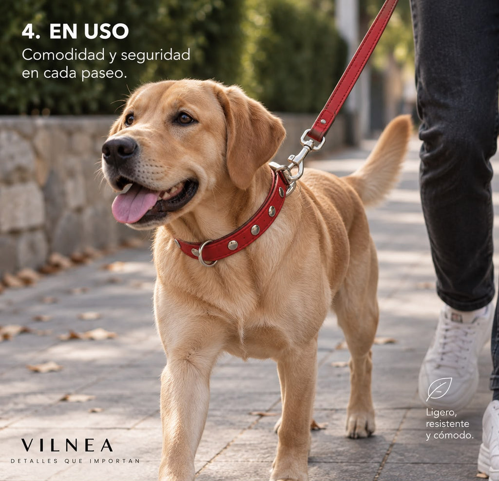 Collar Confort Personalizado
