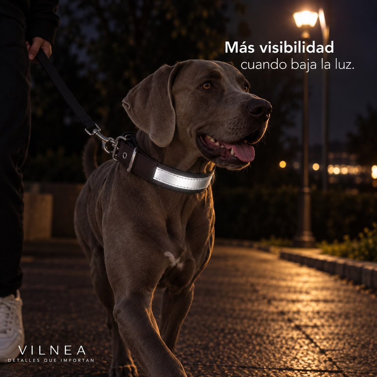 Collar Relax Reflectante Personalizado